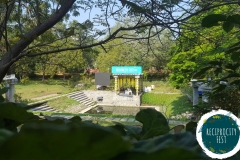 Concert Area Day
