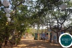 Fest Area