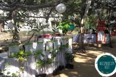 Tree Saplings 2